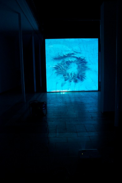lisa schlenker|helios | 2012 | notstromgenerator, projektor, video, stellwand | 365 x 360cm | staatliche akademie der bildenden künste karlsruhe_no5